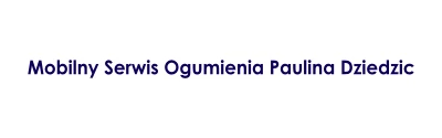 Mobilny Serwis Ogumienia Paulina Dziedzic